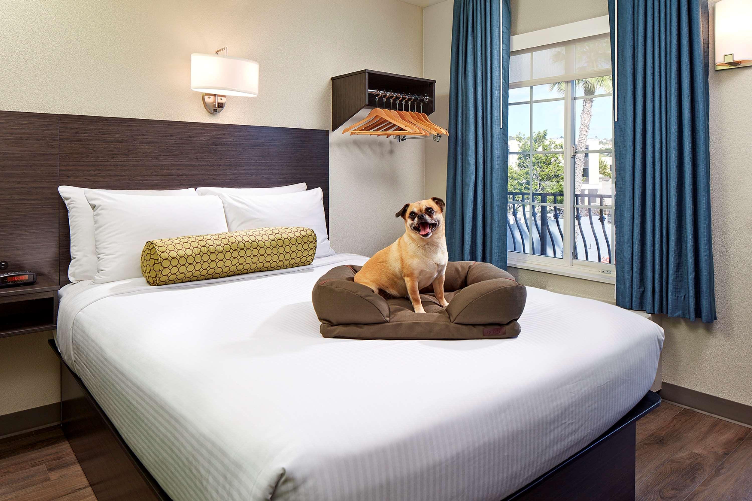 ชัวร์สเตย์ โฮเทล บาย เบสต์ เวสเทิร์น ซานดิอาโก แปซิฟิก บีช Hotel ซานดิเอโก ภายนอก รูปภาพ